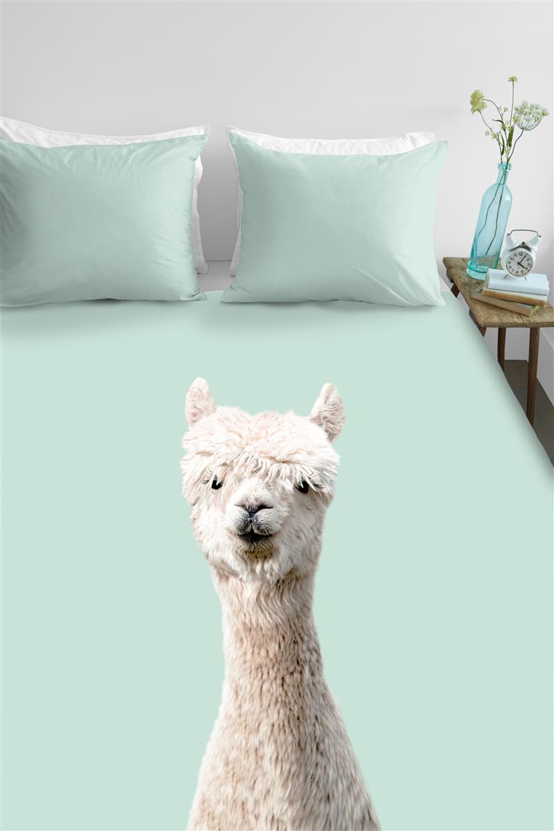 Foto van een Ambiante Alpaca Dekbedovertrek - Tweepersoons - 200x200/220 - Groen ean nummer: 8719931066659