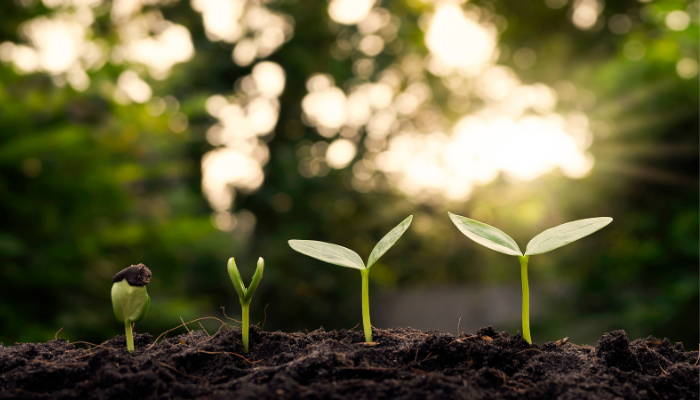 EARTH DAY - De impact van onze levensstijl - Circular Dreams