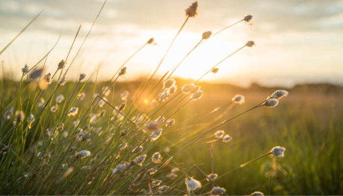 Positieve Impact door Leon van Ast - Circular Dreams